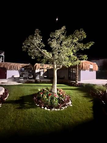 Queen T Suites All Inclusive resort110