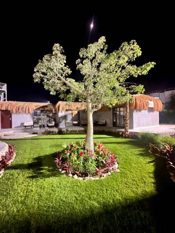 Bungalow with Garden View14